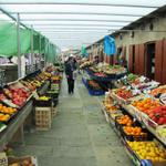 wir besuchen den grossen Markt in Santiago. Alles was essbar ist, kann man hier kaufen