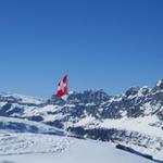 stolz weht die Schweizer Fahne im Wind