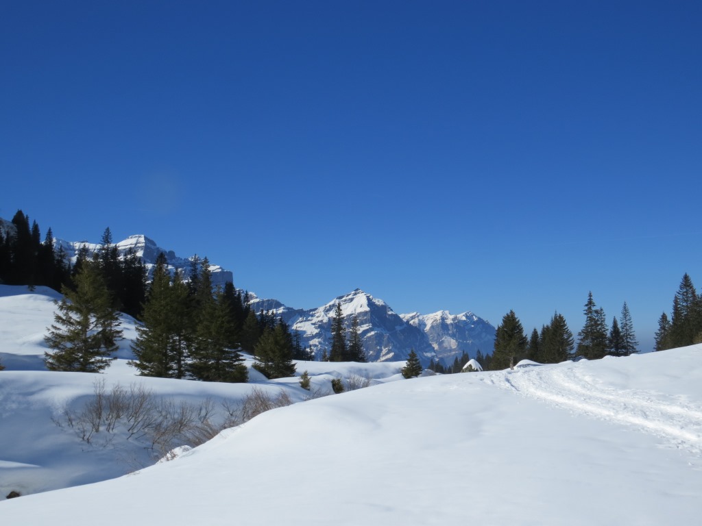 Blick zum Vorder Glärnisch, Wiggis und Rautispitz. Dort oben waren wir auch schon