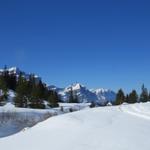 Blick zum Vorder Glärnisch, Wiggis und Rautispitz. Dort oben waren wir auch schon