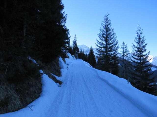 bei Nigg's Egg 1492 m.ü.M. sind wir rechts abgebogen Richtung Strassberg