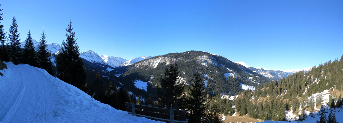 Breitbildfoto aufgenommen während dem laufen. Blick ins Schanfigg