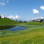 Wanderung Rinderberg - Betelberg 8.7.2013