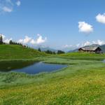 Wanderung Rinderberg - Betelberg 8.7.2013