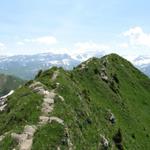 Bergwanderung Gstaad - Wasserngrat - Lauenen 12.7.2013