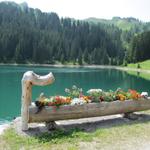 Wanderung Col du Pillon - Lac Retaud - Arnensee - Feutersoey 13.7.2013