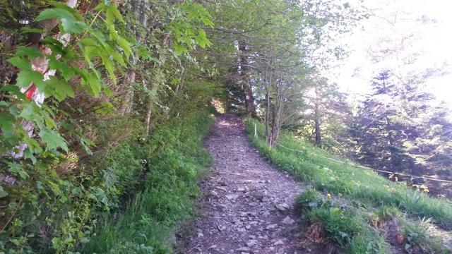 der Wanderweg ist schon zu Beginn steil