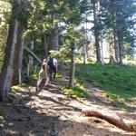 bei dieser Hitze sind wir froh durch den Wald aufwärts zu wandern