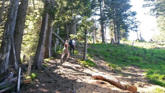 bei dieser Hitze sind wir froh durch den Wald aufwärts zu wandern