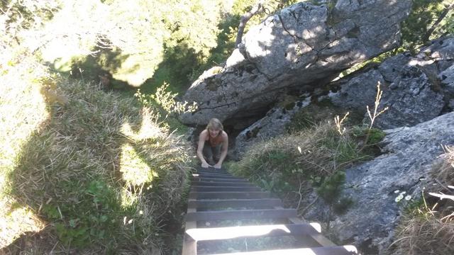 Mäusi beim besteigen der langen Leiter