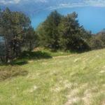 auf der anderen Seite wie wir gekommen sind, verlassen wir die Rigi Hochflue und laufen Richtung Scharteggli