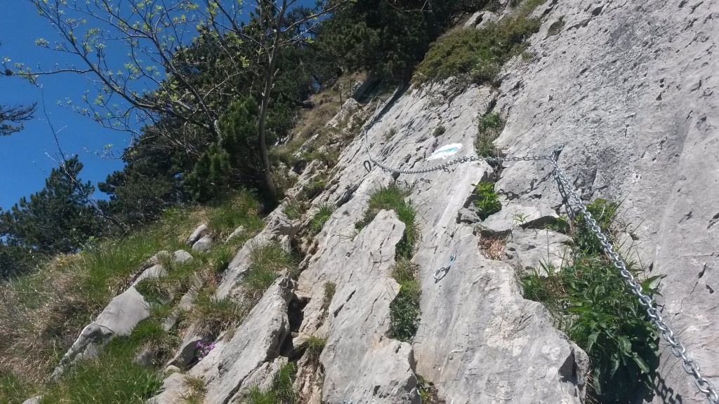 Blick hinauf. Seilgesicherter Weg