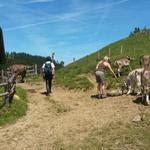 wir haben die Alpgebäude auf der Alp Scharteggli erreicht