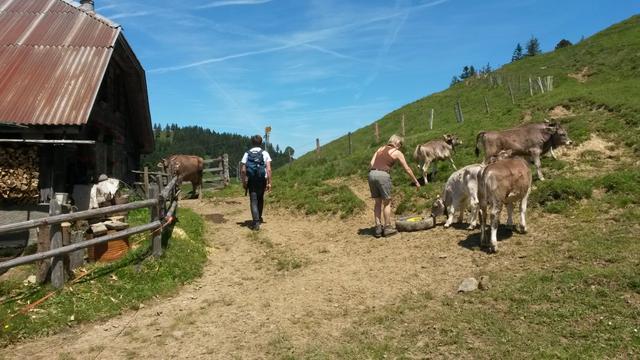 wir haben die Alpgebäude auf der Alp Scharteggli erreicht