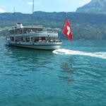 der Vierwaldstättersee immer wieder ein schöner Anblick