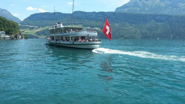 der Vierwaldstättersee immer wieder ein schöner Anblick