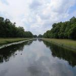 Wasserkanäle durchziehen den Schlosspark