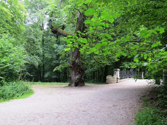 der Waldpark im Schlossgarten