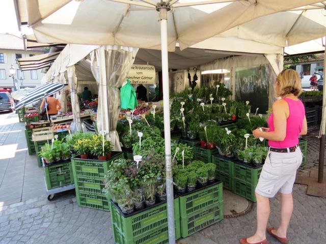 Mäusi beim Viktualienmarkt