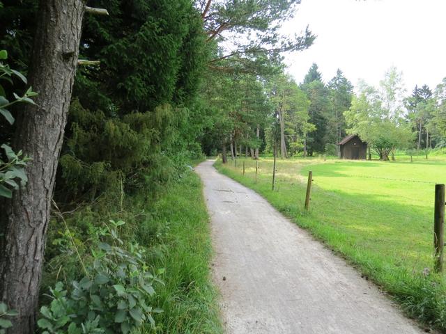 über Wald und Wiesen verlassen wir Wolfratshausen