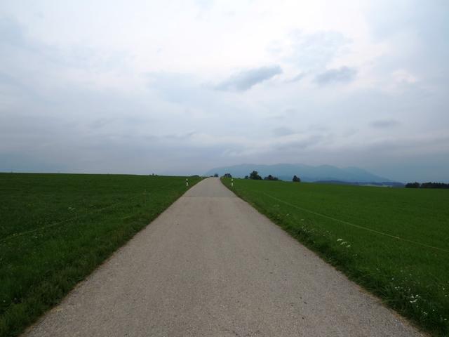 am Horizont wäre bei schönem Wetter die Nordwand der Benediktenwand zu sehen