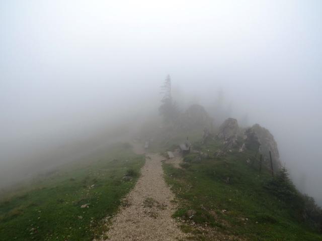 im dichten Nebel geht es weiter. Die Aussicht von hier oben wäre grossartig