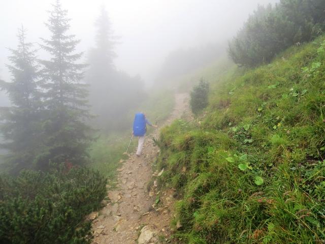 weiter geht unsere Wanderung im dichten Nebel Richtung Rotöhrsattel