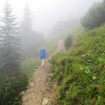 weiter geht unsere Wanderung im dichten Nebel Richtung Rotöhrsattel