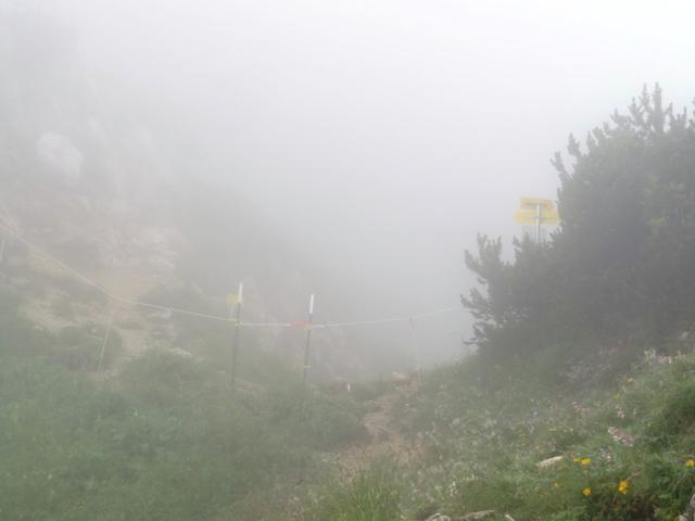 wir haben weiterhin im dichten Nebel, der Rotöhrsattel erreicht