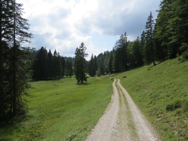 bei der Luitpolder Alm 1124 m.ü.M.