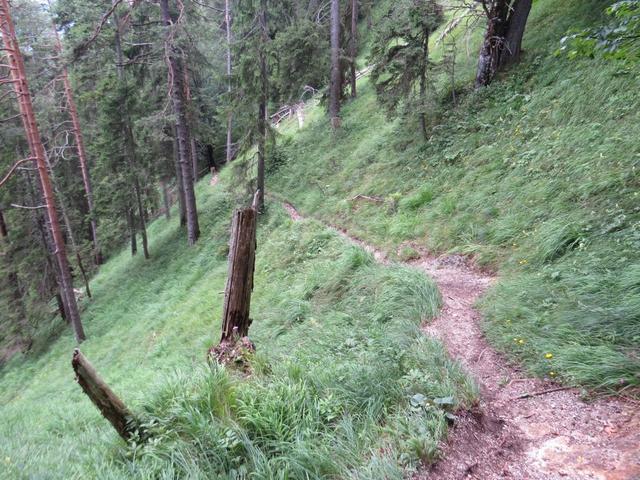 vom Risssattel 1235 m.ü.M. beginnt nun der steile Abstieg nach Vorderriss