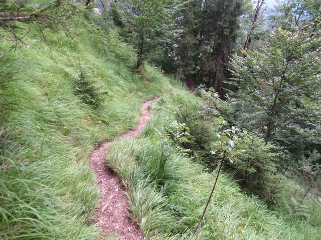 der Bergweg führt zwar steil abwärts, ist aber sehr gut angelegt