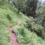 der Bergweg führt zwar steil abwärts, ist aber sehr gut angelegt