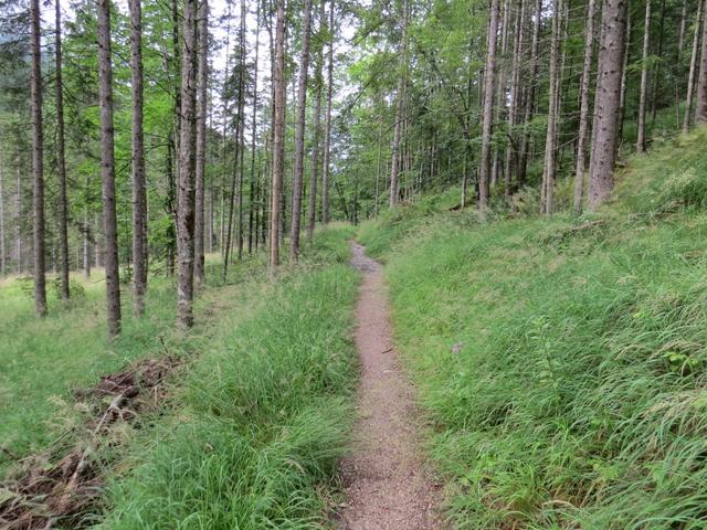 entlang des Johannesbach führt der Weg aufwärts zum kleinen Ahornboden