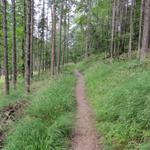 entlang des Johannesbach führt der Weg aufwärts zum kleinen Ahornboden