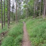 entlang des Johannesbach führt der Weg aufwärts zum kleinen Ahornboden