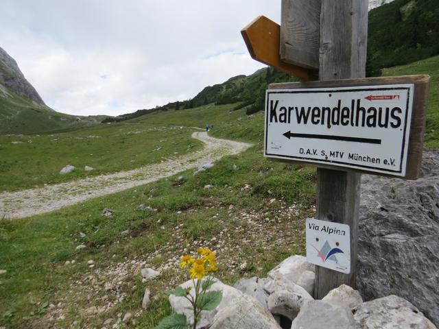 wir haben den Hochalmsattel 1803 m.ü.M. erreicht