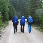 auf dem Weg zur Kastenalm