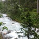 die Isar ist nun nur noch ein kleiner Bach