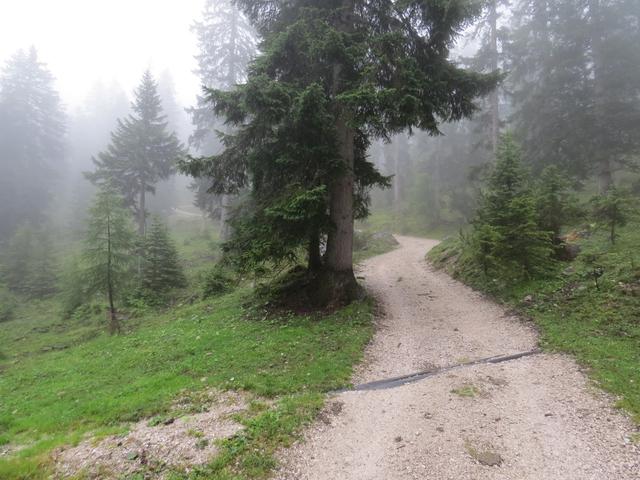 über 500 Höhenmeter geht es danach aufwärts, Richtung Hallerangeralm