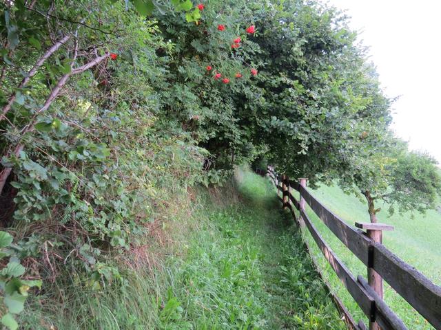 über einen schönen Wanderweg geht es nach Wattenberg