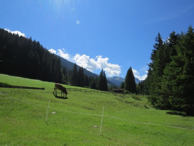 Blick von der Terrasse ins Gebirge