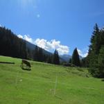 Blick von der Terrasse ins Gebirge