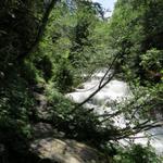 der Weg führt alles dem Wattenbach entlang aufwärts