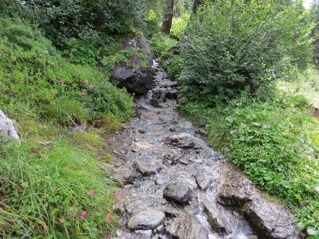 hier ist der Weg zugleich auch ein Bach