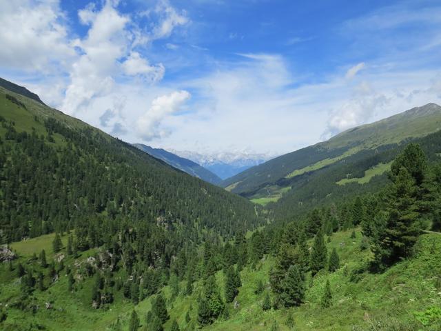 Blick zurück ins Wattental. Am Horizont das Karwendel