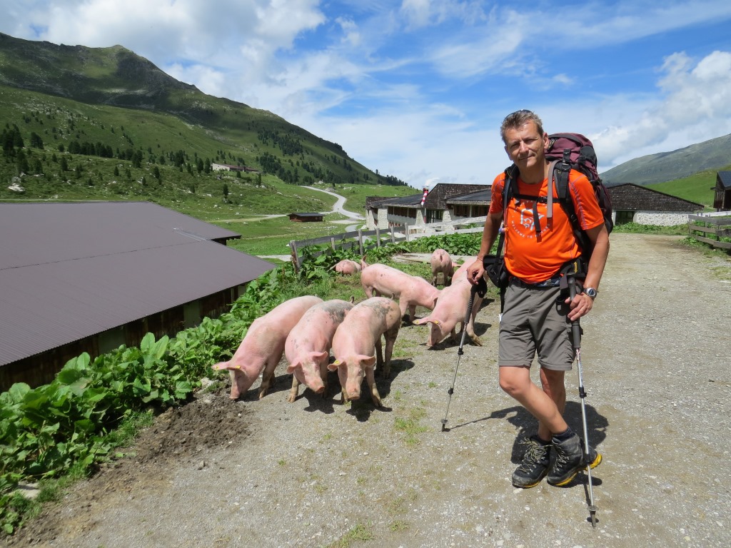 auf Alp Lizum