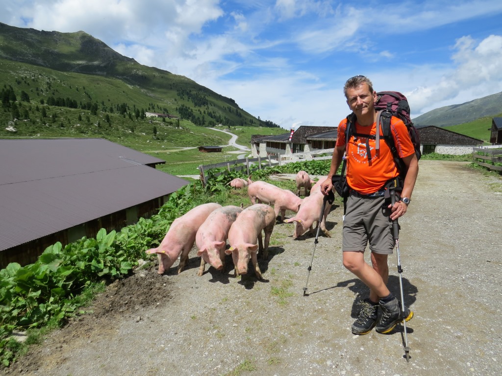 auf Alp Lizum