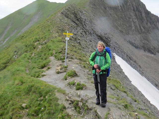 wir haben den Gschützspitzsattel 2657 m.ü.M. erreicht