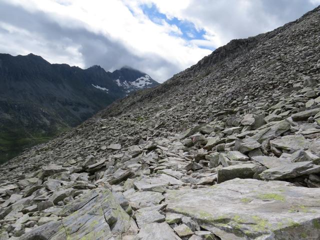 über 2500 Steinplatten bilden den Neumarkter Höhenweg